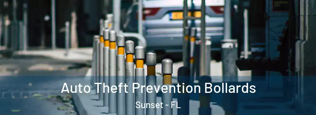  Auto Theft Prevention Bollards Sunset - FL