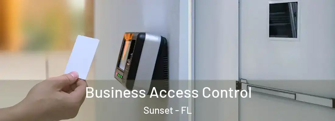  Business Access Control Sunset - FL