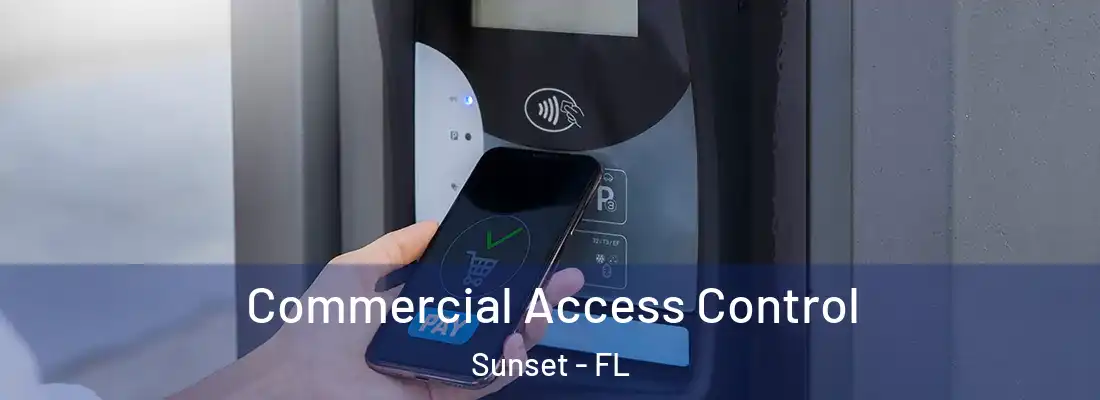  Commercial Access Control Sunset - FL