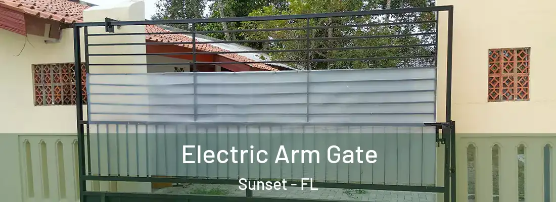  Electric Arm Gate Sunset - FL