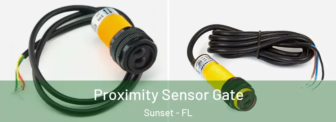  Proximity Sensor Gate Sunset - FL