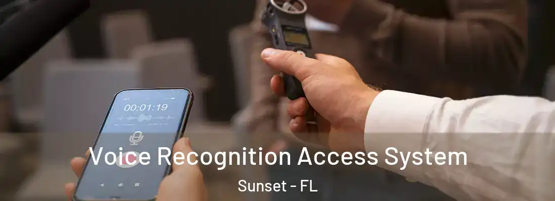  Voice Recognition Access System Sunset - FL